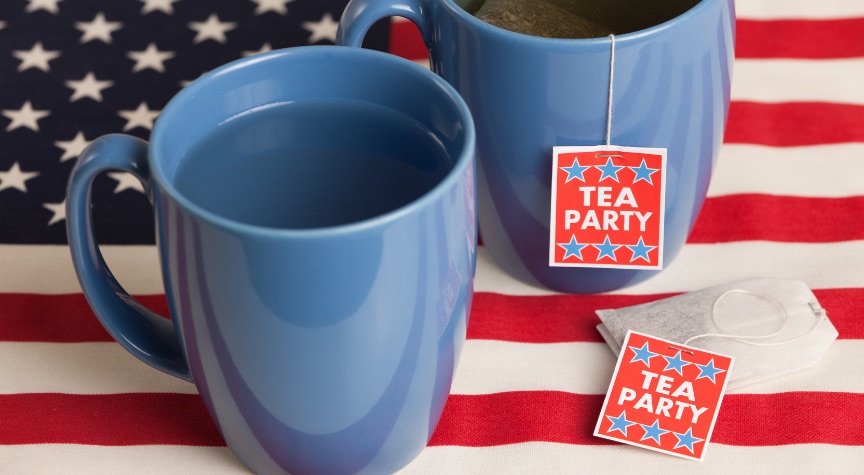 Tea Party Isn’t A “Social Welfare Organization,” So No Tax-Free Status