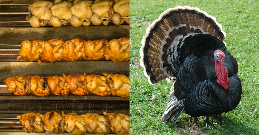 Thanksgiving Food for Thought: Economics of Costco Chickens